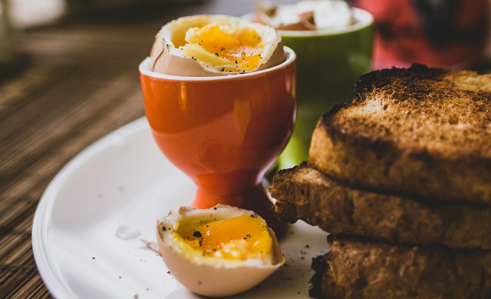 Boiled egg in an eggcup with toast